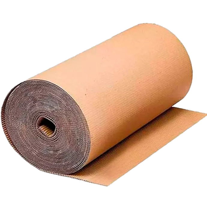 CARTON CORRUGADO